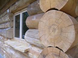 maison en bois à construire