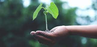 environnementale