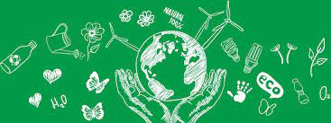 eco responsables
