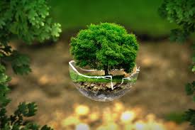 développement durable