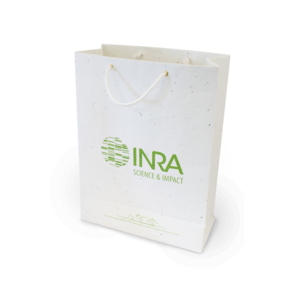 sac en papier biodégradable