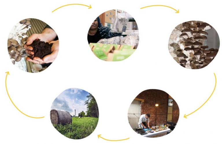 économie circulaire