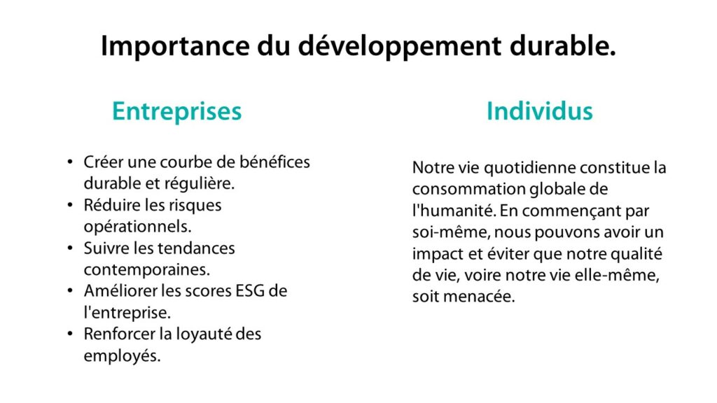 définition développement durable
