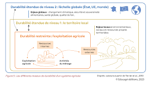 durabilité agricole